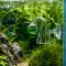 Скляний індикатор CO2, дропчекер Aquario Drop Checker — Фото 10