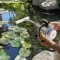 Компресор Kruger Meier OxyPure Breeze 2400 для ставка 1200 л/год з розподільником на 6 виходів — Фото 11