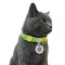 Нашийник для котів нейлоновий WAUCAT Nylon Recycled з QR адресником, градієнт, безпечна пряжка, XS, Ш 10 мм, Дов 20-30 см, салатовий — Фото 7