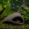 Декорація Hobby Wave Cave 1 dark 12×12×5,5 см - керамічне укриття для риб і креветок в акваріумі (41654) — Фото 9