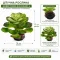 Штучна рослина Hobby Terra Succulent 4 17 см (37733) для тераріуму, акватераріуму та палюдаріуму — Фото 4