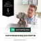 Сухий дієтичний корм PRO PLAN VETERINARY DIETS EN Gastrointestinal для дорослих собак та цуценят для усунення розладів травлення 12 кг — Фото 18