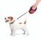 Повідець-рулетка для собак WAUDOG R-leash, малюнок "Конотопські магічні війська", M, до 25 кг, 5 м, світловідбиваюча стрічка чорний — Фото 19