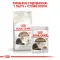 Сухий корм Royal Canin AGEING+12 для Кіт 2 кг — Фото 10
