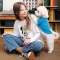 Футболка Pet Fashion «Ivanko» для собак, розмір S2, синя — Фото 5