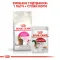 Сухий корм Royal Canin EXIGENT SAVOUR для котів всіх порід 4 кг — Фото 9