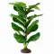 Штучна рослина Hobby Marantha Tree 55 см (37708) для тераріуму, акватераріуму та палюдаріуму — Фото 3