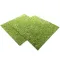 Фон моховий Repti-Zoo Natural Moss Back & Bottom 45x45см 2шт. (NCM4545) — Фото 10