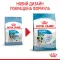 Сухий корм Royal Canin MINI PUPPY для цуценят малих порід 2 кг — Фото 12