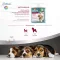 Вітаміни 8in1 Excel Multi Vitamin Puppy для цуценят та молодих собак, мультивітамін, 100 шт — Фото 23