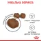 Сухий корм Royal Canin DENTAL CARE для котів всіх порід 0,4 кг — Фото 10