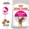 Сухий корм Royal Canin EXIGENT AROMATIC для котів всіх порід 2 кг — Фото 8