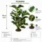 Штучна рослина Hobby Ficus Elastica 2 55 см (37706) для тераріуму, акватераріуму та палюдаріуму — Фото 4