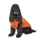 Жилет Pet Fashion «Spring» для собак, розмір XS2, помаранчевий — Фото 13