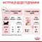 Сухий корм Royal Canin KITTEN STERILISED для кошенят всіх порід 0,4 кг+KITTEN STERILISED CIG 85 г — Фото 11