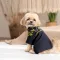 Сорочка Pet Fashion Тарас для собак синя XS2 — Фото 8