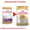 Сухий корм Royal Canin MALTESE ADULT для дорослих собак породи Мальтез 1,5 кг — Фото 7