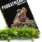 Натуральний мох торф’яний Terrario ForestHeart Sphagnum Moss 100г для тераріумів та орхідей — Фото 19