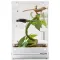 Тераріум Repti-Zoo Acrylic Terrarium 20x20x30см (PACR10) — Фото 5