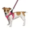 Шлея для собак Bronzedog Mesh Vest 3D сітка рожева M — Фото 6