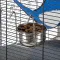 Ferplast CAGE FURET Клітка для тхорів — Фото 13