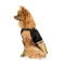 Сукня Pet Fashion «Chic» для дівчаток, розмір M, чорна — Фото 3