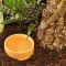 HABISTAT ROUND PLASTIC WATER BOWL MEDIUM 9 X 9 X 3.5CM (R3100030) поїлка для рептилій — Фото 4