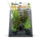 Штучна рослина для акваріума SF DECO PLANT S ROTALA (A4070520) — Фото 2