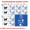 Сухий корм Royal Canin INDOOR LONGHAIR для котів всіх порід 2 кг — Фото 11