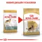 Сухий корм Royal Canin GERMAN SHEPHERD ADULT для дорослих собак породи Німецька вівчарка 11 кг — Фото 7