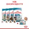 Вологий корм Royal Canin STARTER MOUSSE Cans для цуценят 195 г — Фото 11
