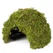 Схованка з моху Repti-Zoo Natural Mossy Dome M 14x10,5 (ERS25M) — Фото 6