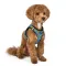 Шлея для Собак Barksi Sport Vest Лимони 2XS — Фото 3