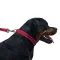 Нашийник для Собак BronzeDog Active Нейлоновий зі Світловідбиттям та Пластиковою Пряжкою Червоний M — Фото 15