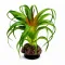 Штучна рослина Hobby Terra Succulent 3 14 см (37732) для тераріуму, акватераріуму та палюдаріуму — Фото 4