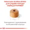 Сухий корм Royal Canin LABRADOR PUPPY для цуценят породи Лабрадор 3 кг — Фото 9