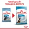 Сухий корм Royal Canin MAXI PUPPY для цуценят великих порід 4 кг — Фото 7