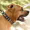 Нашийник для Собак BronzeDog Urban Нейлоновий з Пластиковою Пряжкою Ацтеки XL — Фото 11