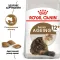 Сухий корм Royal Canin AGEING+12 для Кіт 2 кг — Фото 7