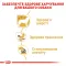 Вологий корм Royal Canin CHIHUAHUA ADULT для дорослих собак породи Чихуахуа 85 г — Фото 6