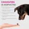 LK Baits Pet Nutrigo Treat Game Функціональні ласощі для собак з олениною та рибним соусом (Ø 12 мм), 150 г — Фото 10