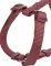 Шлея Trixie Premium H-harness для собак XS–S 30–44 см 10 мм бордова — Фото 3