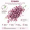 Штучна рослина Hobby Climber Purpurea 70 см (37726) для тераріуму, акватераріуму та палюдаріуму — Фото 6
