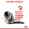 Сухий корм Royal Canin HAIRBALL CARE для котів всіх порід 2 кг — Фото 10