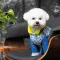 Костюм Pet Fashion Tender для дівчаток, розмір S, синій — Фото 11