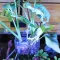 Контейнер для вирощування рослин в акваріумі Hobby Plant basket 8×9×8см (61330) — Фото 12