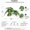 Штучна рослина Hobby Calathea 1 24×14 см (37714) для тераріуму, акватераріуму та палюдаріуму — Фото 4