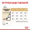 Сухий корм Royal Canin POMERANIAN ADULT для дорослих собак породи Померанський шпіц 1,5 кг — Фото 11