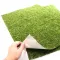 Фон моховий Repti-Zoo Natural Moss Back & Bottom 60x45см 2шт. (NCM6045) — Фото 7