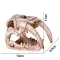 Декорація череп тигра Terrario Sabertooth Skull 13x8,5x11см (15911) — Фото 9
